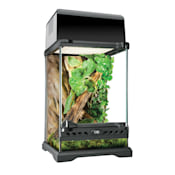 Terrariums & Tanks