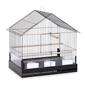 Bird Cages