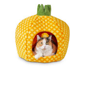 Cat Beds